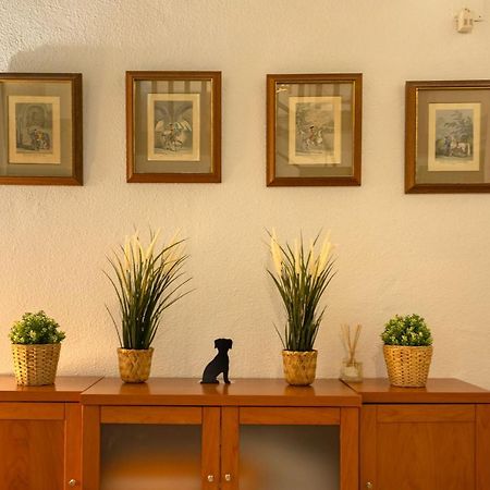 Apartamento Siglo De Oro Sewilla Zewnętrze zdjęcie